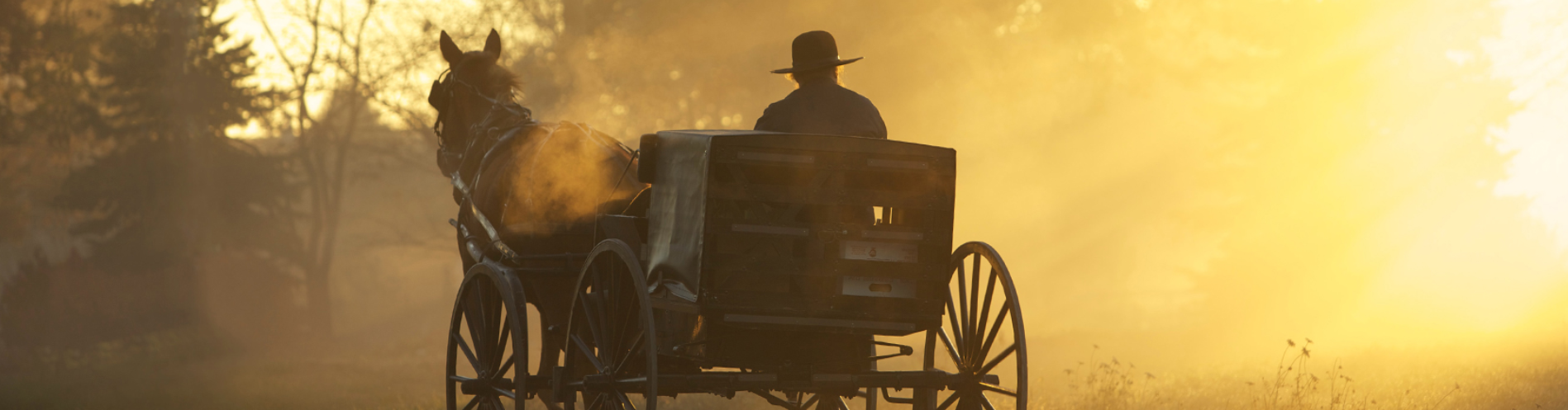 Amish farmer driving a horse-drawn cart, representing the farming heritage of Farmers Hen House.