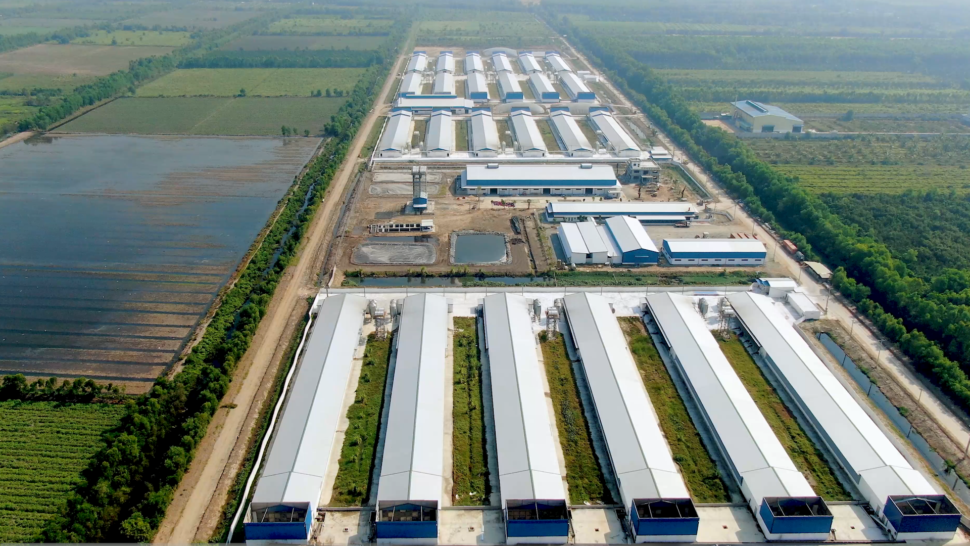 Aerial view of Ba Huân egg production facility in Vietnam with integrated farms supplying liquid egg processing operations.