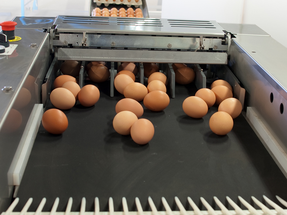 Albume D'uovo Cuociuova In Acciaio Inossidabile - Per Uova In Camicia E Verdure A Vapore | 3 Tazze, Design Antiaderente Monsieur Cuisine - Foto 12