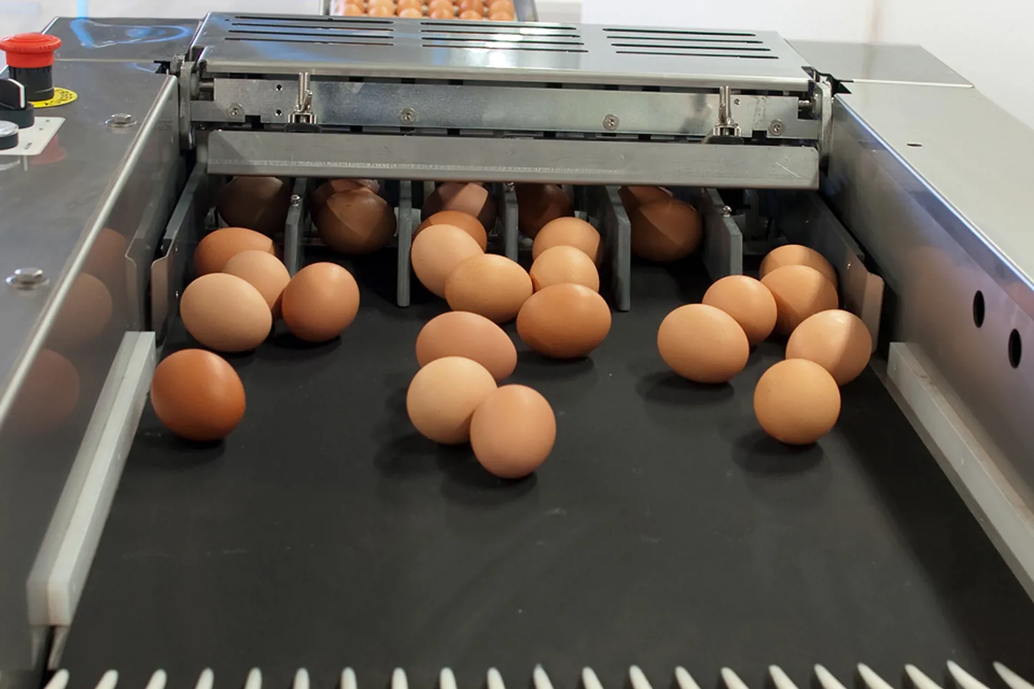 Farm Multipacker Farmpacker 40 | Compact Egg Packer Machine for Small Farms | Sanovo ...