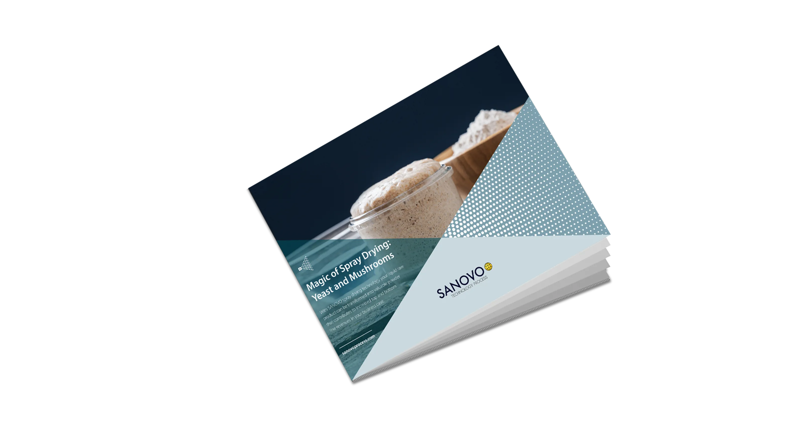 Application sheets with the magic of spray drying yeast and mushroom by SANOVO TECHNOLOGY PROCESS.