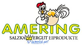 Amering logo