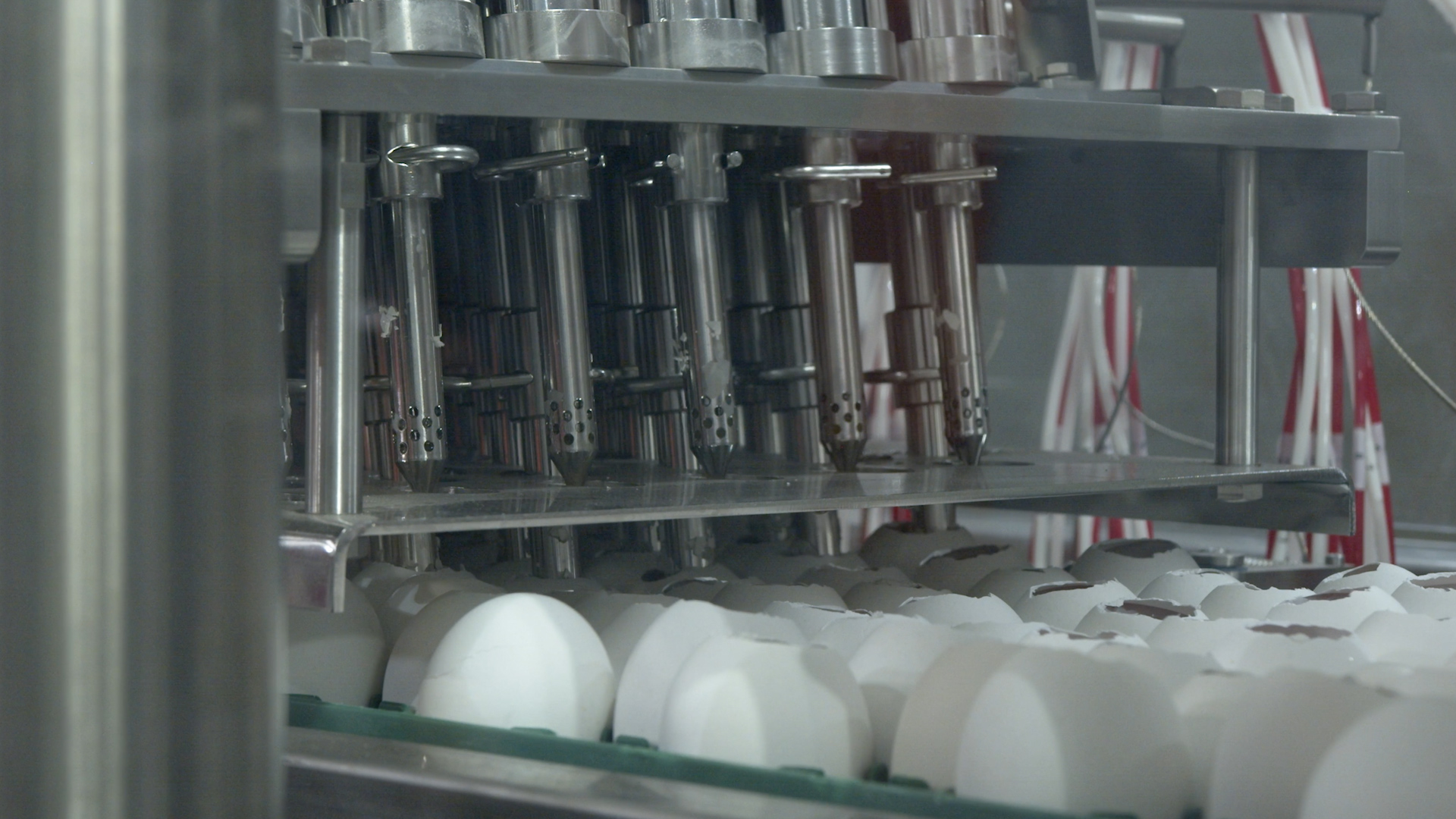Close up of the RAME-HART Automatic Harvester extracting allantoic fluid from embryonated eggs.