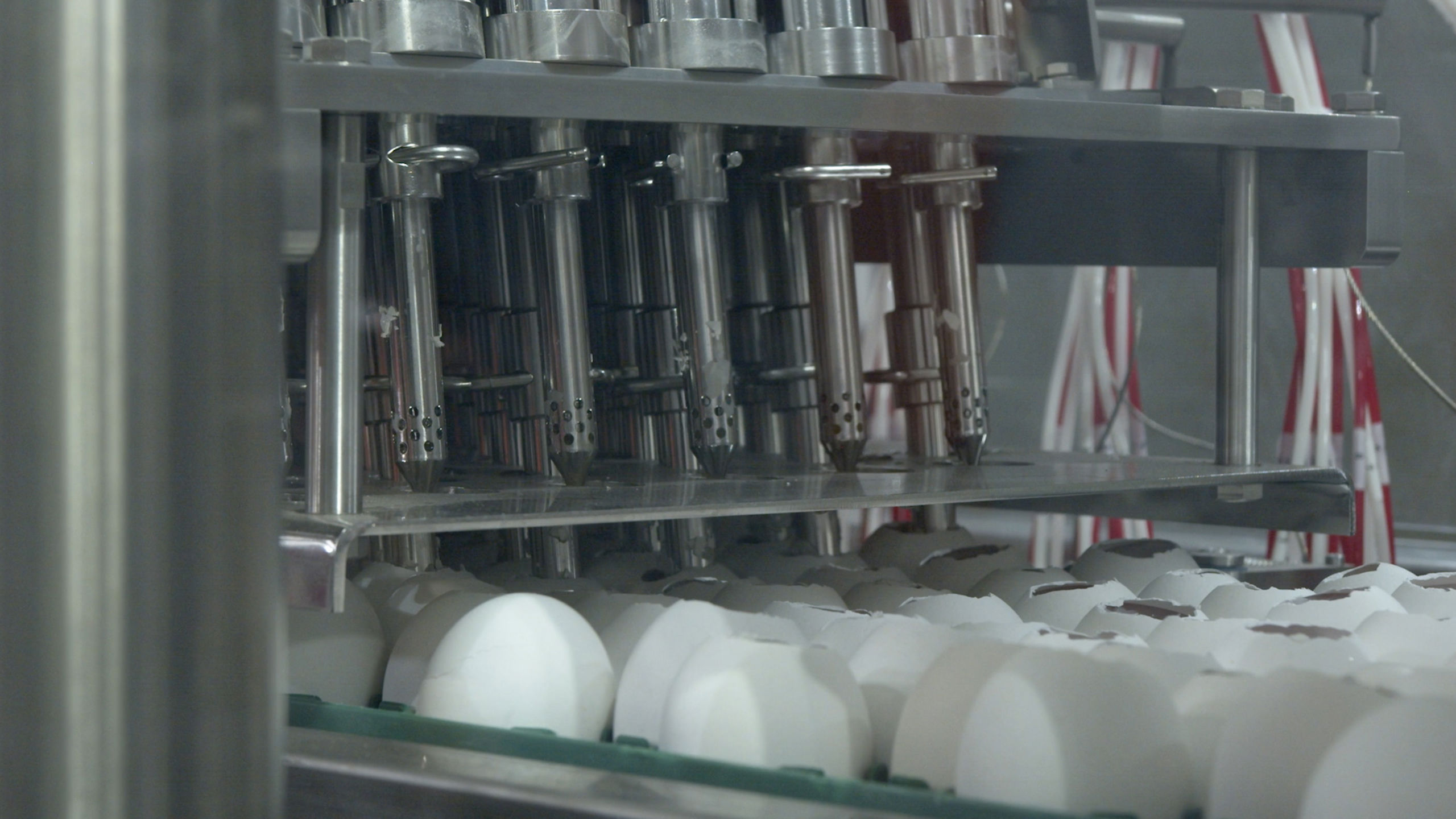Embrex Device Automatic Egg Harvester – 35,000 Eggs/Hour for Vaccines | Sanovo Technology