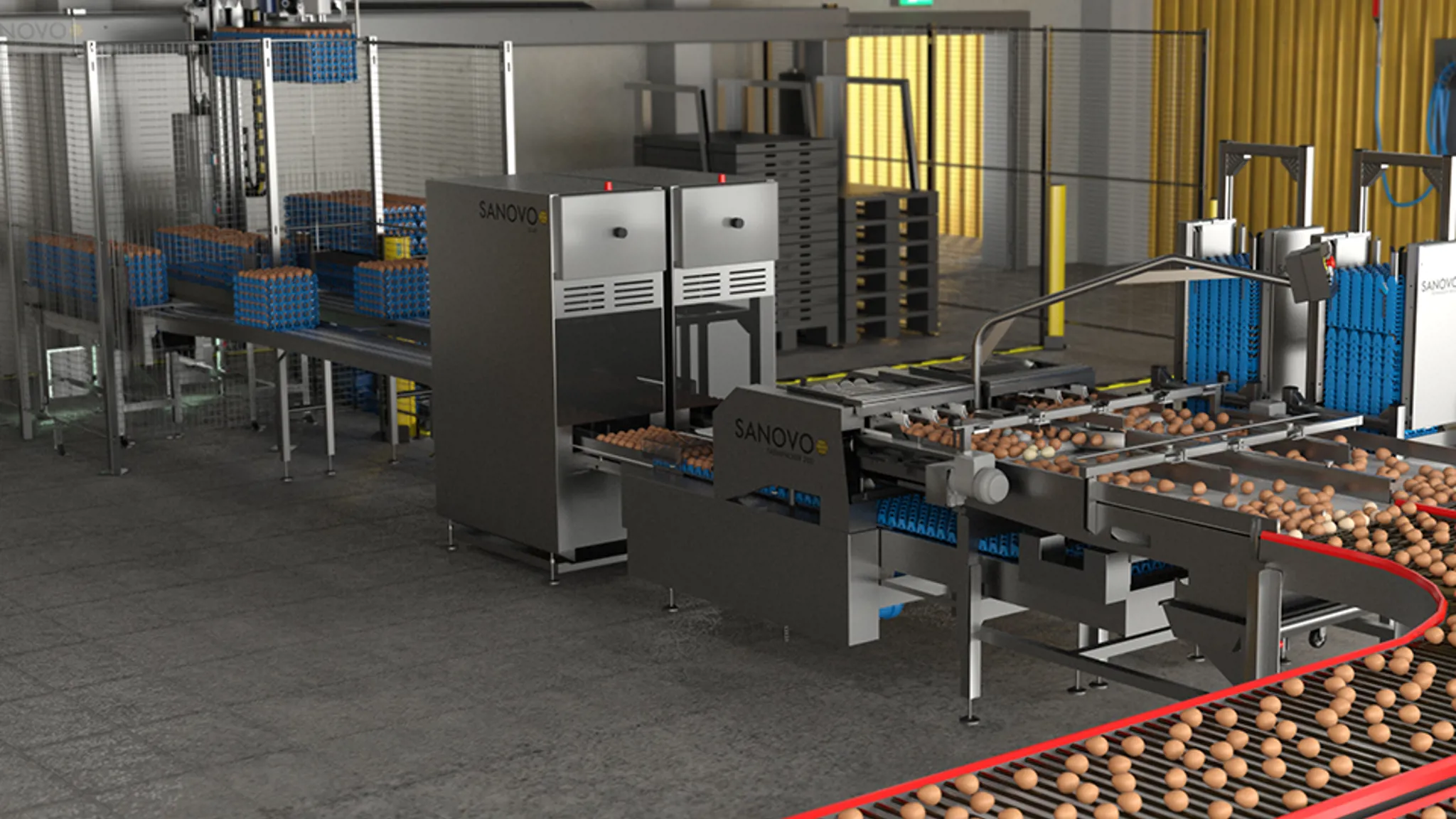 SANOVO automated egg packing line with egg packer, tray denester, conveyor infeed, and tray stacking system.