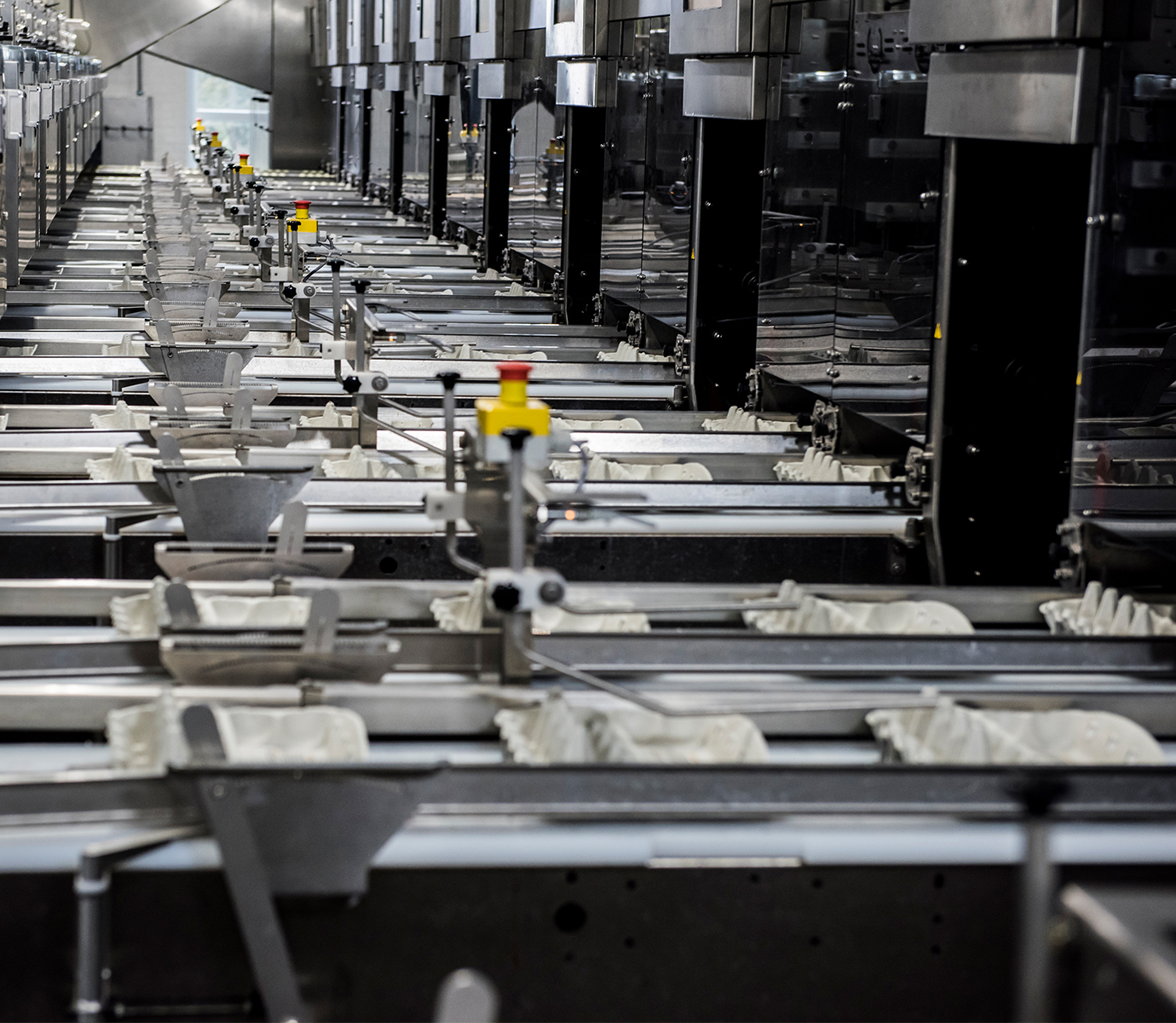 Egg cartons in packing lanes of a SANOVO GraderPro egg grading machine. 