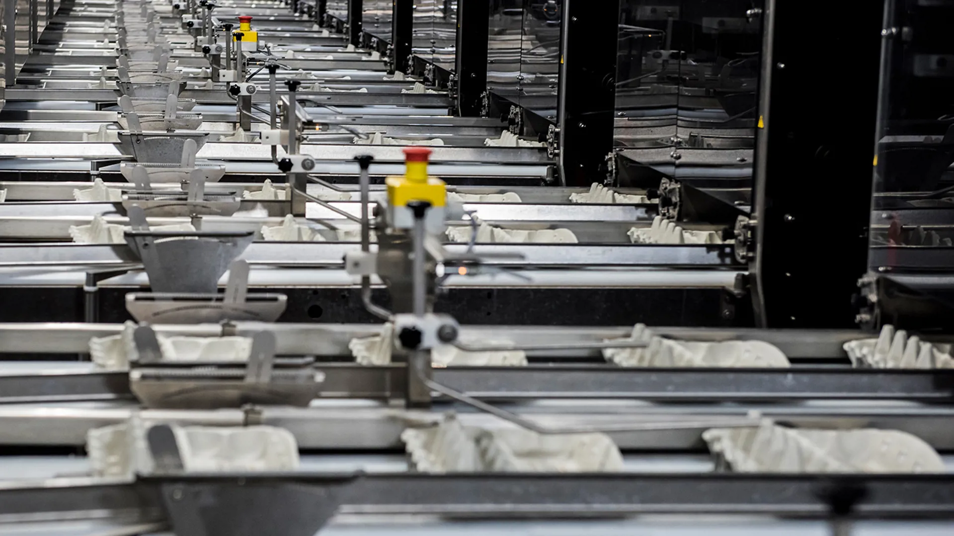 Egg cartons in packing lanes of a SANOVO GraderPro egg grading machine.
