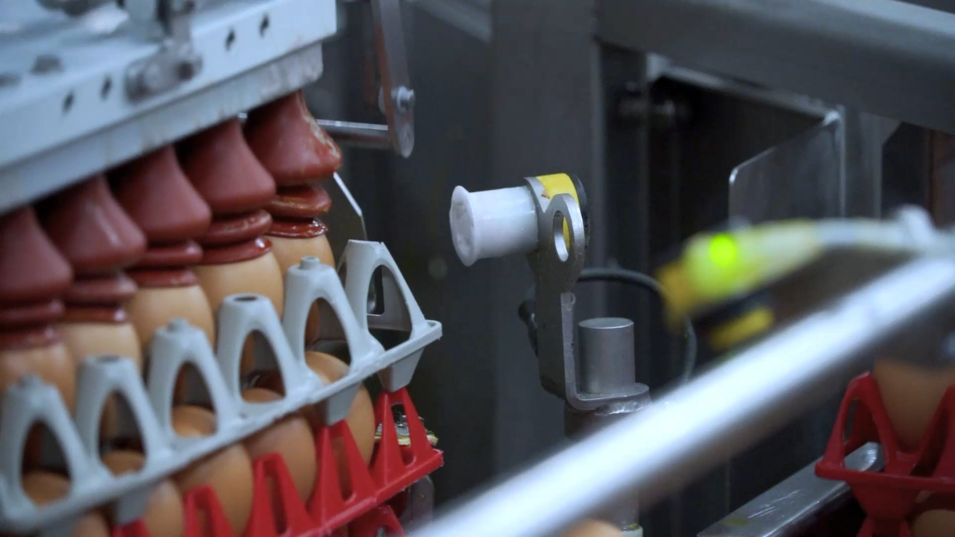Sensor monitoring egg position during automated egg handling.