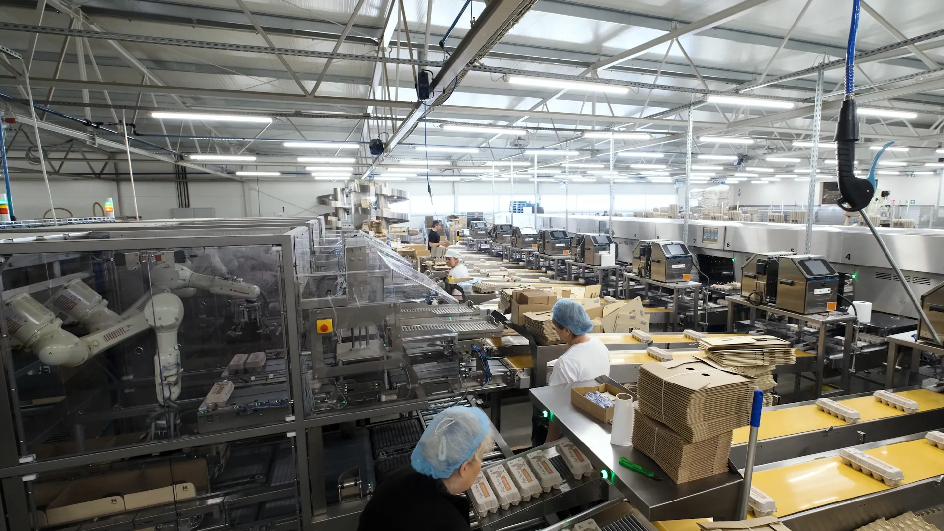Automated egg packing line with operators and case packing equipment at Jokiel Poultry Farms.