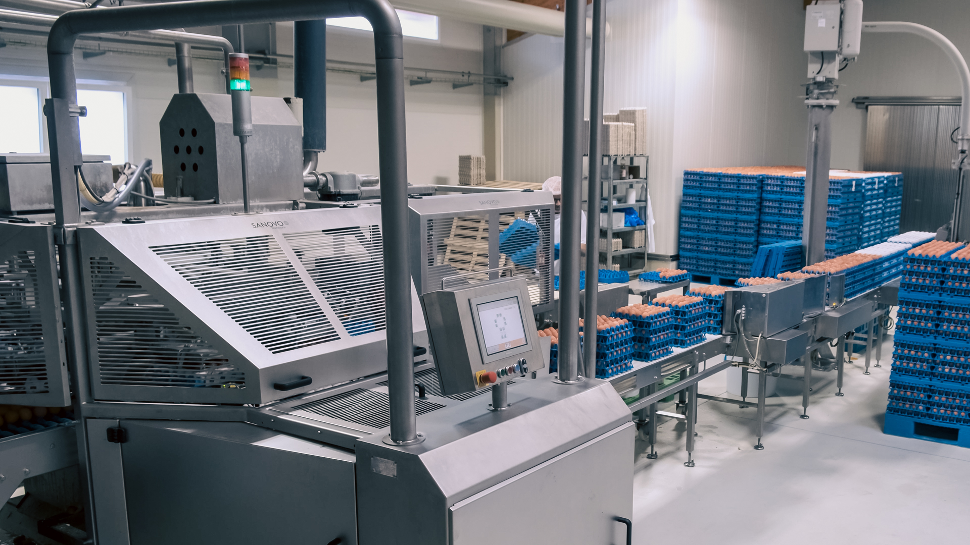 SANOVO OptiLoader Plus 12 in operation, loading stacked egg trays onto conveyors for off-line egg breaking operations.