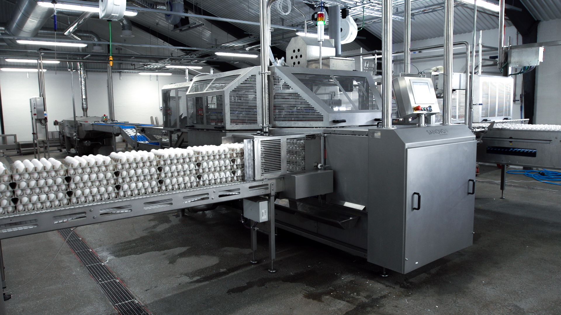 OptiLoader Plus 12C egg loader handling stacked egg trays with flexible compatibility for different tray types.
