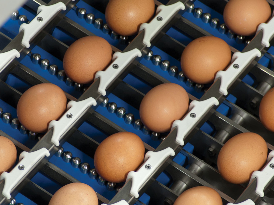 Crack detection of eggs on the Ardenta 170 egg grading machine by SANOVO TECHNOLOGY GROUP.