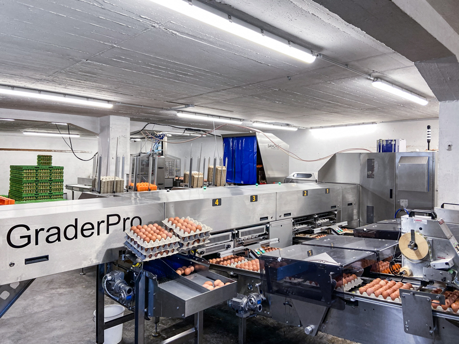 Installed SANOVO GraderPro 75 egg grader machine operating in a small to medium egg production facility.