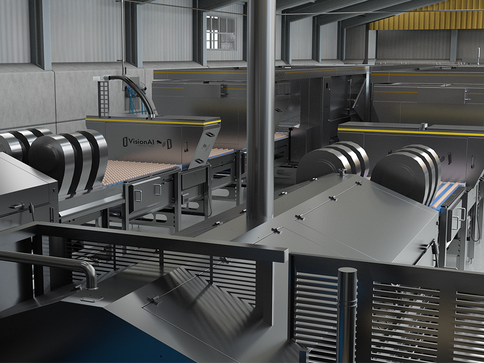 Infeed section of a large egg grading station by SANOVO TECHNOLOGY with VisionAI monitoring eggs entering the system.