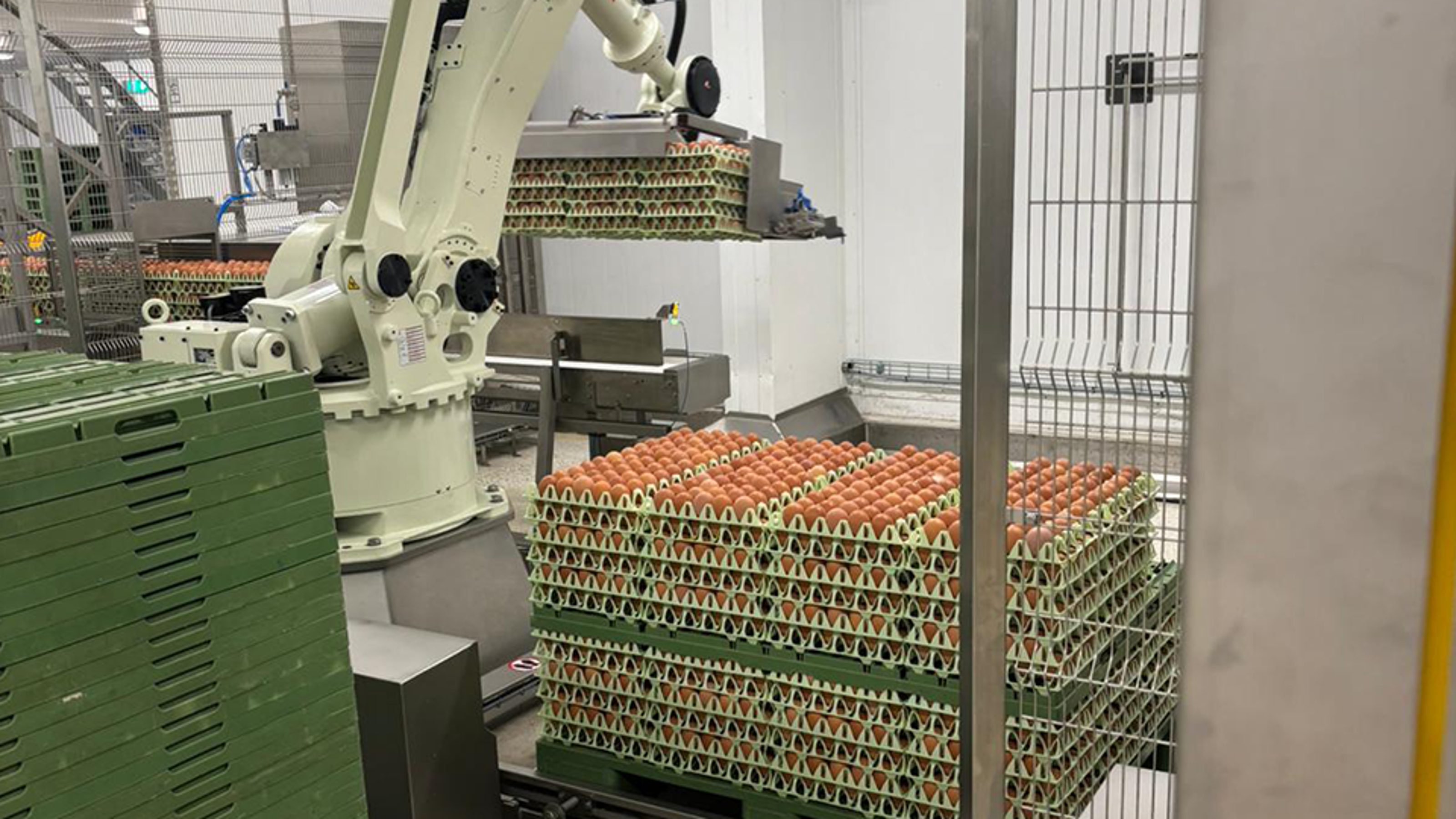 Robotic palletizing arm stacking trays of eggs in automated handling system at Greenfield grading facility.