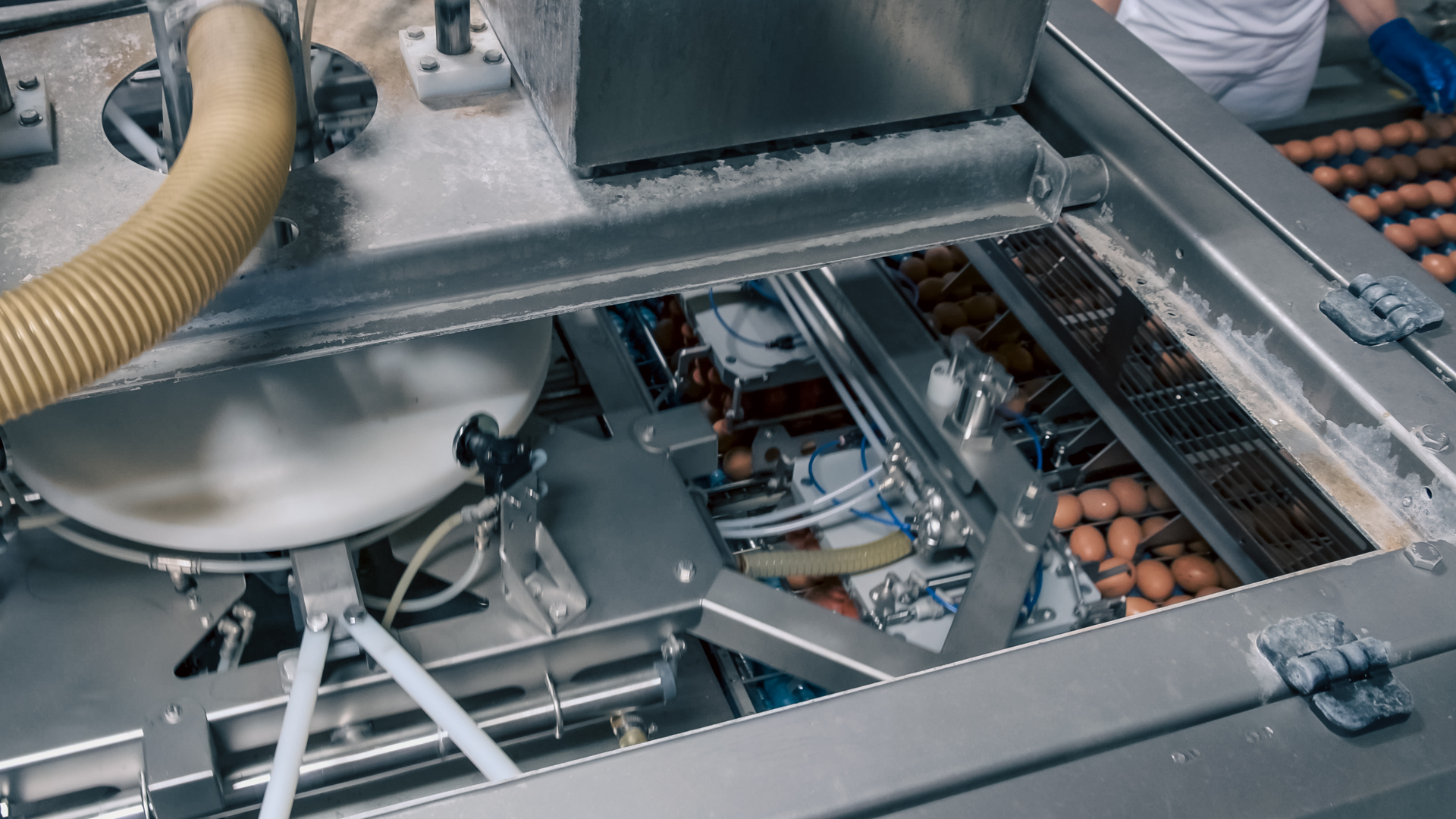 Top view of the SANOVO OptiLoader showing internal mechanisms and eggs being guided through the egg loading process.