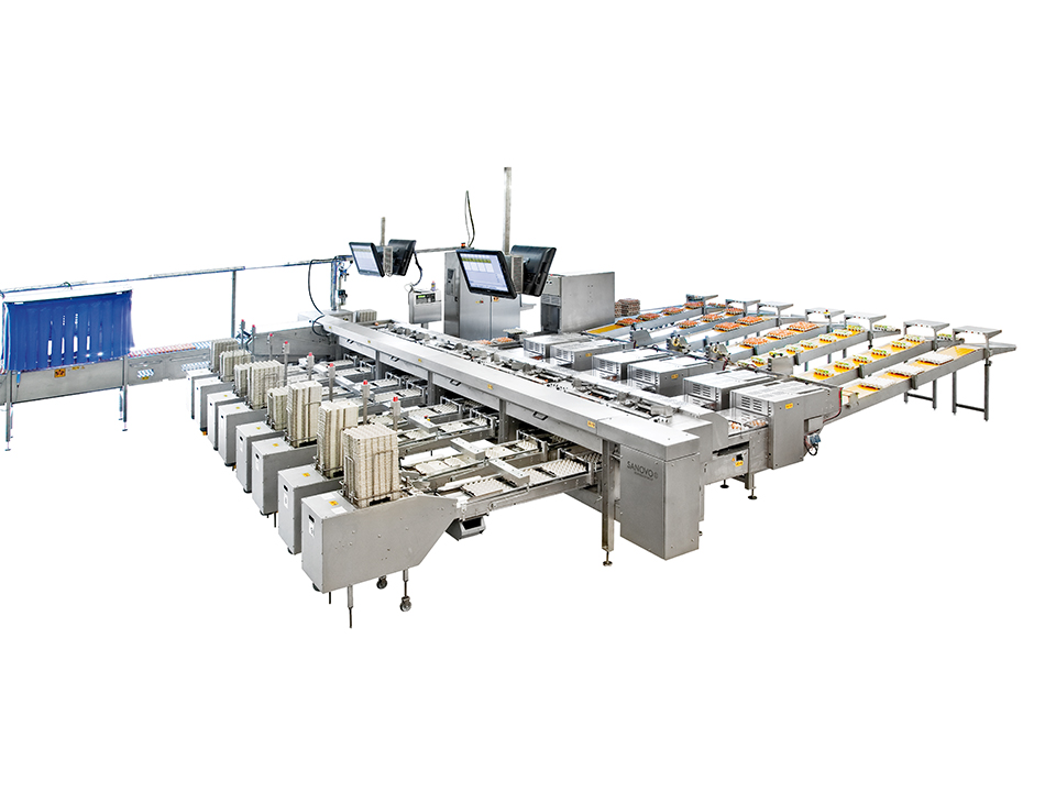 Side view of the Alpha 100 egg grading machine with compact design and packing lanes by SANOVO TECHNOLOGY GROUP.