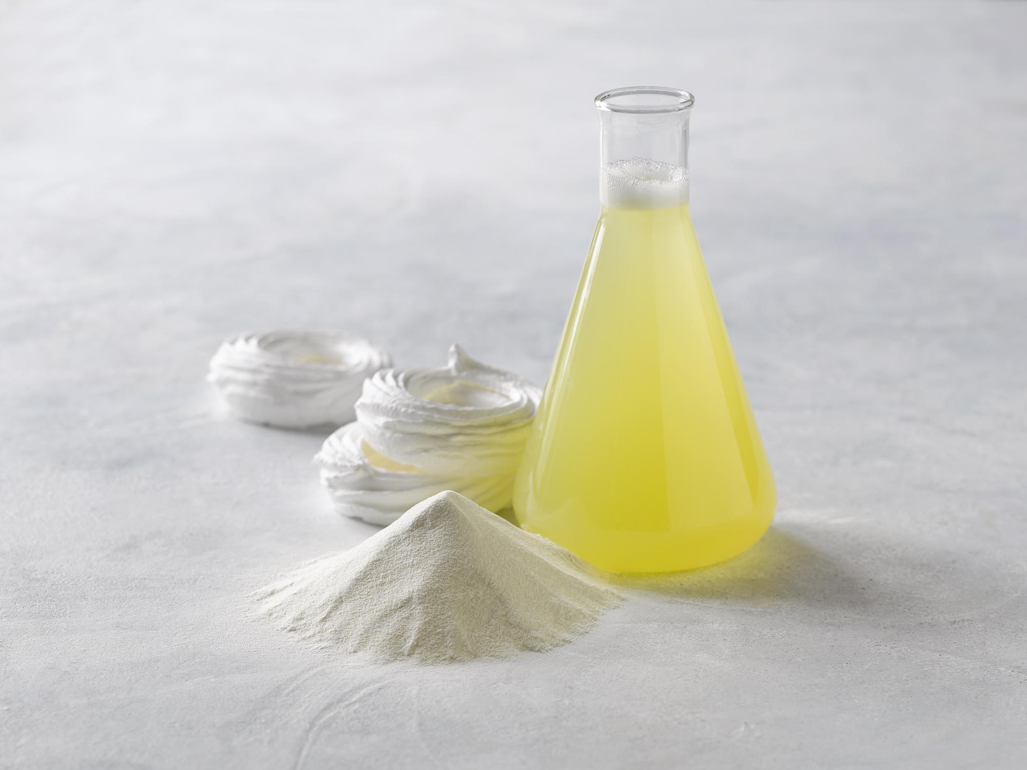 Liquid egg with powder and whipped egg products showing enzyme-enhanced functionality, offered by SANOVO PROCESS SOLUTIONS