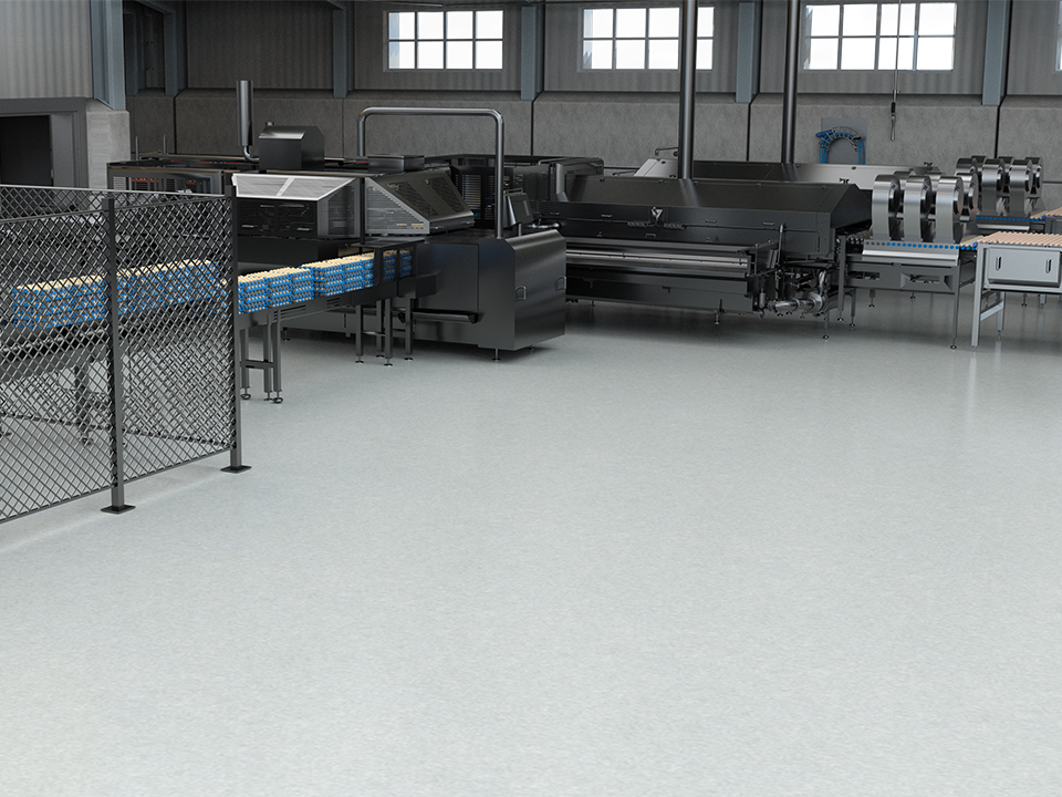 Automated infeed loading area of a large egg grading and packing line by SANOVO TECHNOLOGY. 