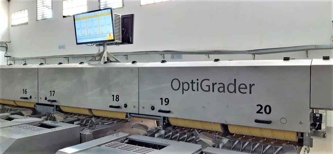 SANOVO OptiGrader egg grading machine in operation at Faria Group egg production facility in Brazil.