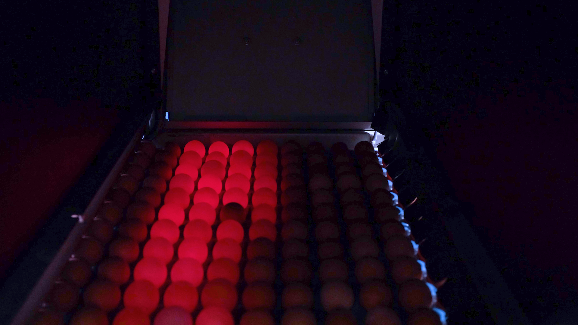 Dirty egg detection during grading on an egg grading machine by SANOVO TECHNOLOGY GROUP.