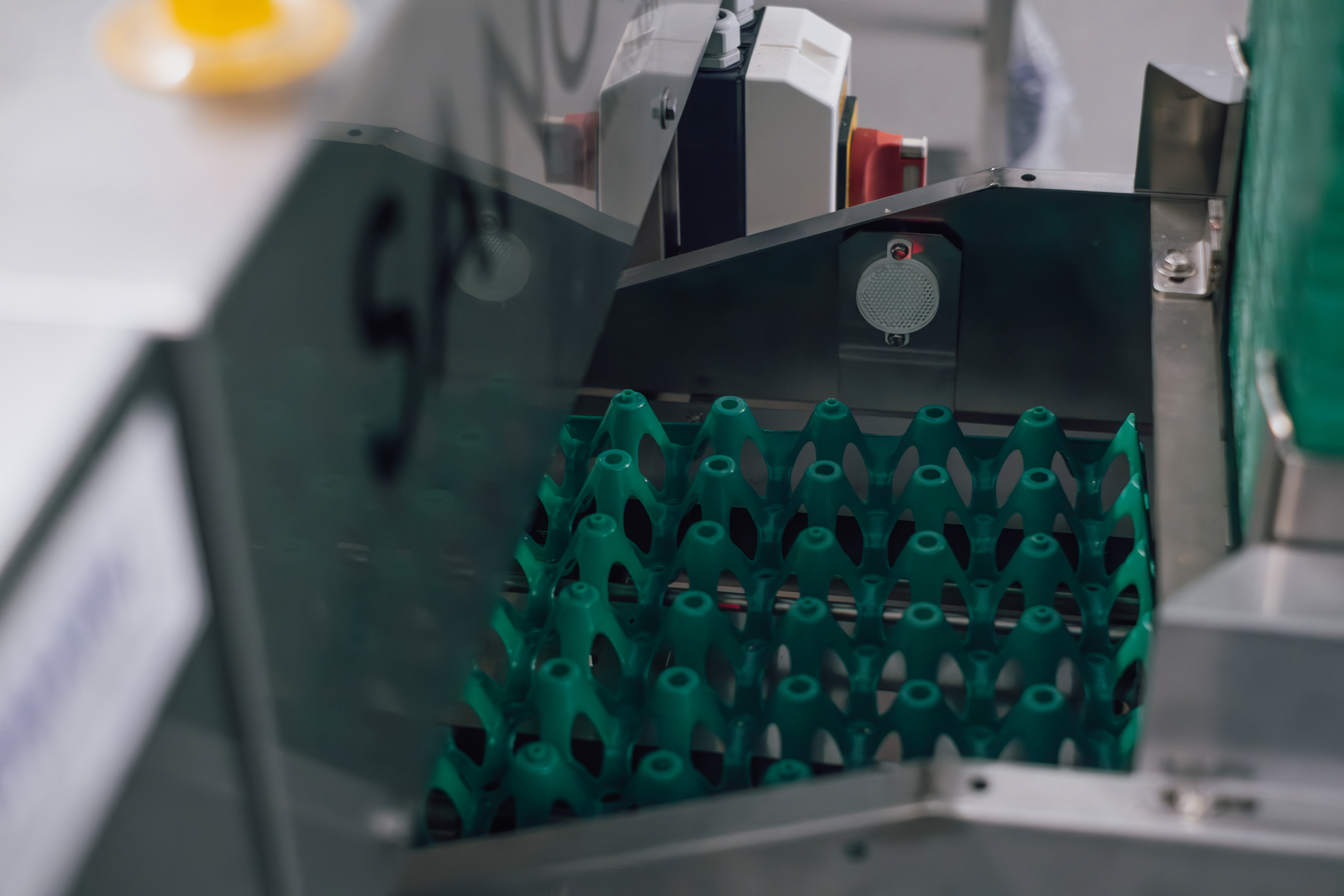 SANOVO Farmpacker 40 farm packing system with missing tray detection sensor.