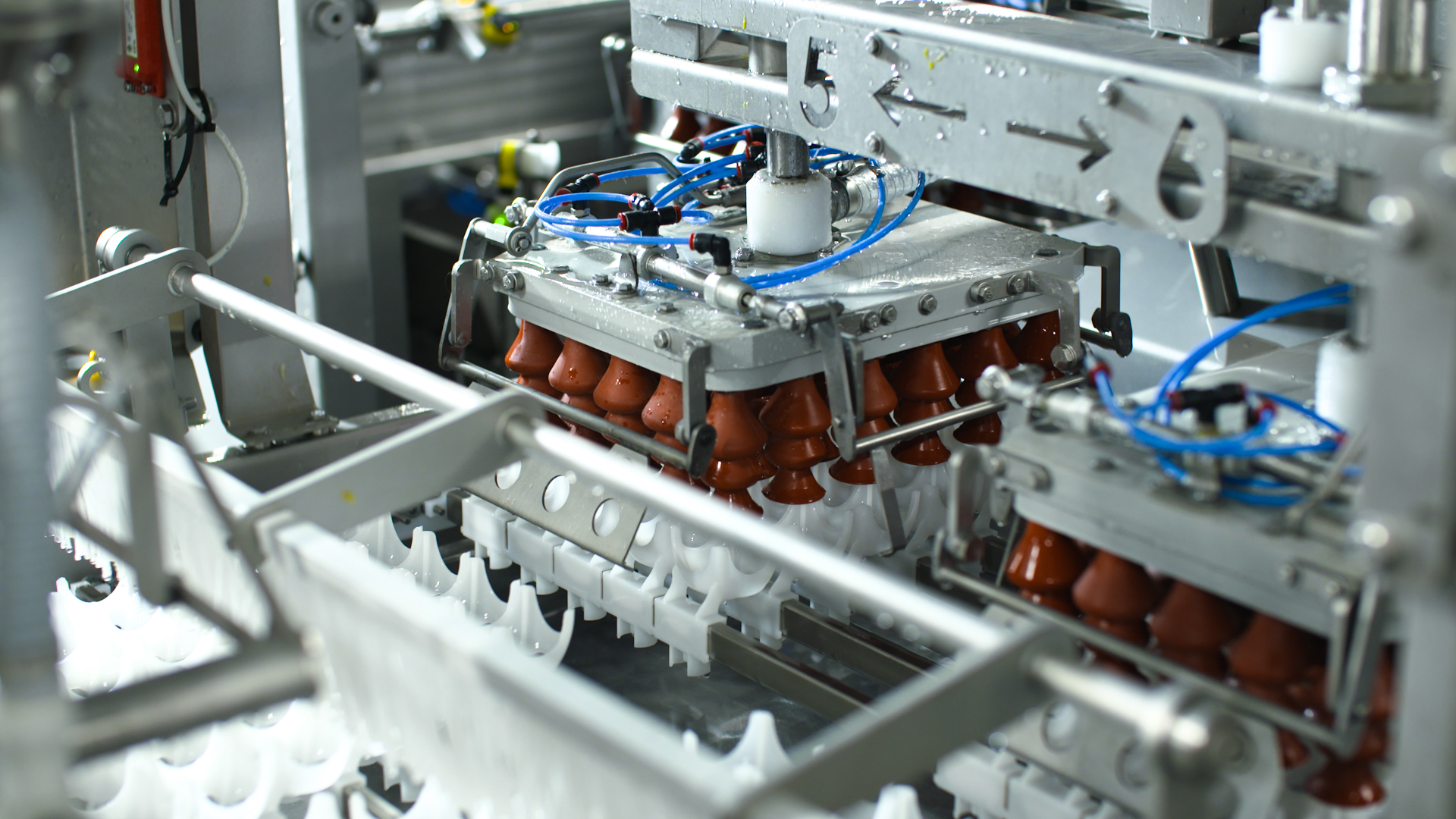 Clean-in-place (CIP) cleaning of the SANOVO OptiLoader egg loader suction cups during operation.