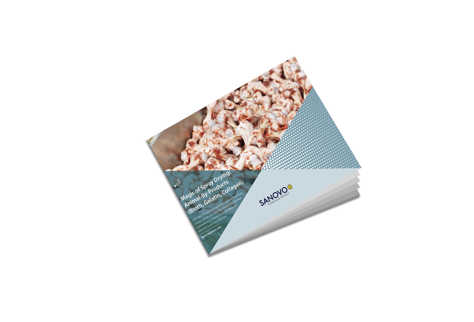 Application sheet on spray drying animal by-products such as bones and skins into powders – SANOVO TECHNOLOGY PROCESS