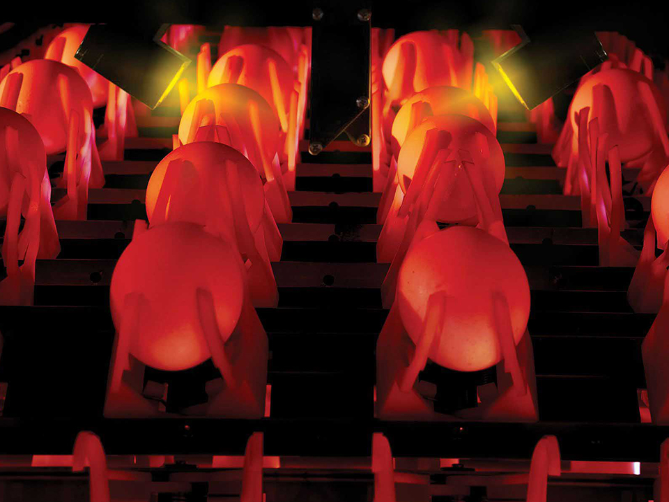 Blood detection of eggs during grading on an egg grading machine by SANOVO TECHNOLOGY GROUP.