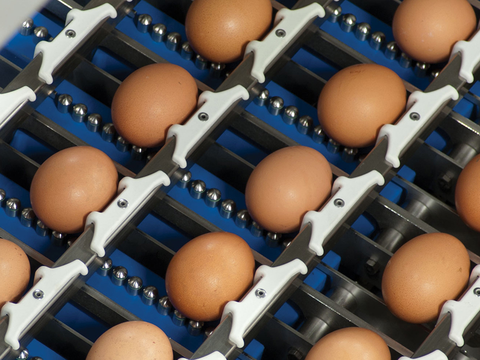 Crack detection of eggs on an Alpha egg grading machine by SANOVO TECHNOLOGY GROUP.