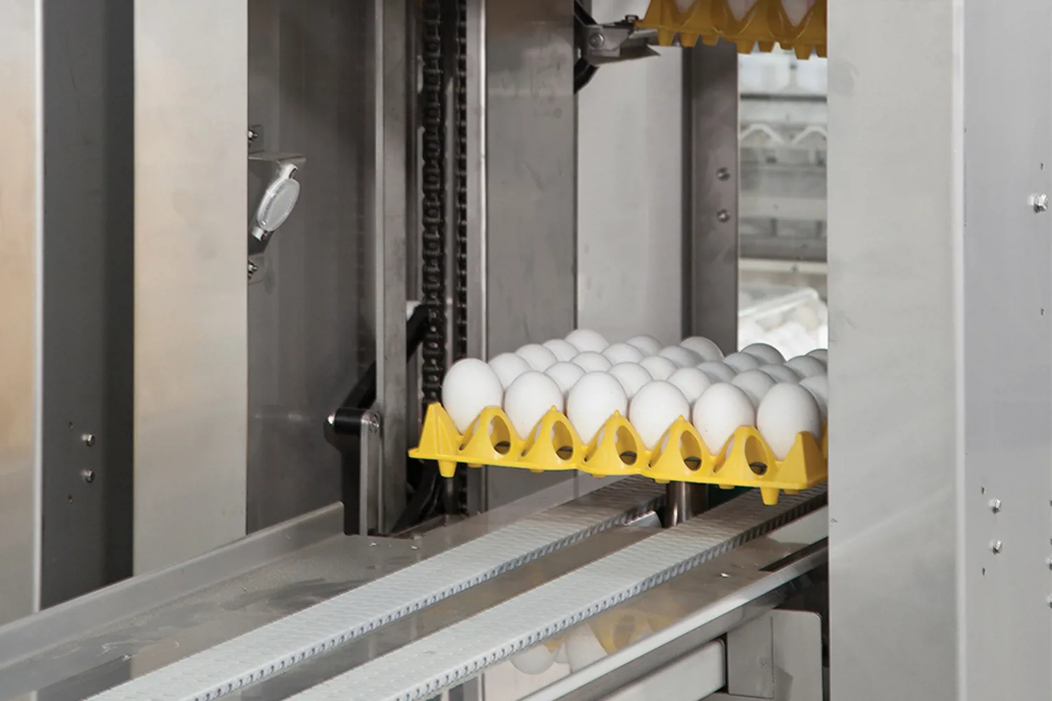 Farm Multipacker Farmpacker 200 | Efficient Egg Packer Machine for Large Farms | Sanovo ...