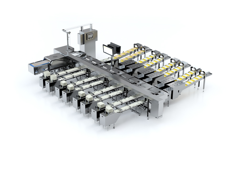 Alpha 70 Egg Grading Machine | Compact and Hygienic Solution