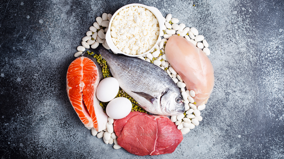 Protein ingredients used for animal by-products protein powder production.