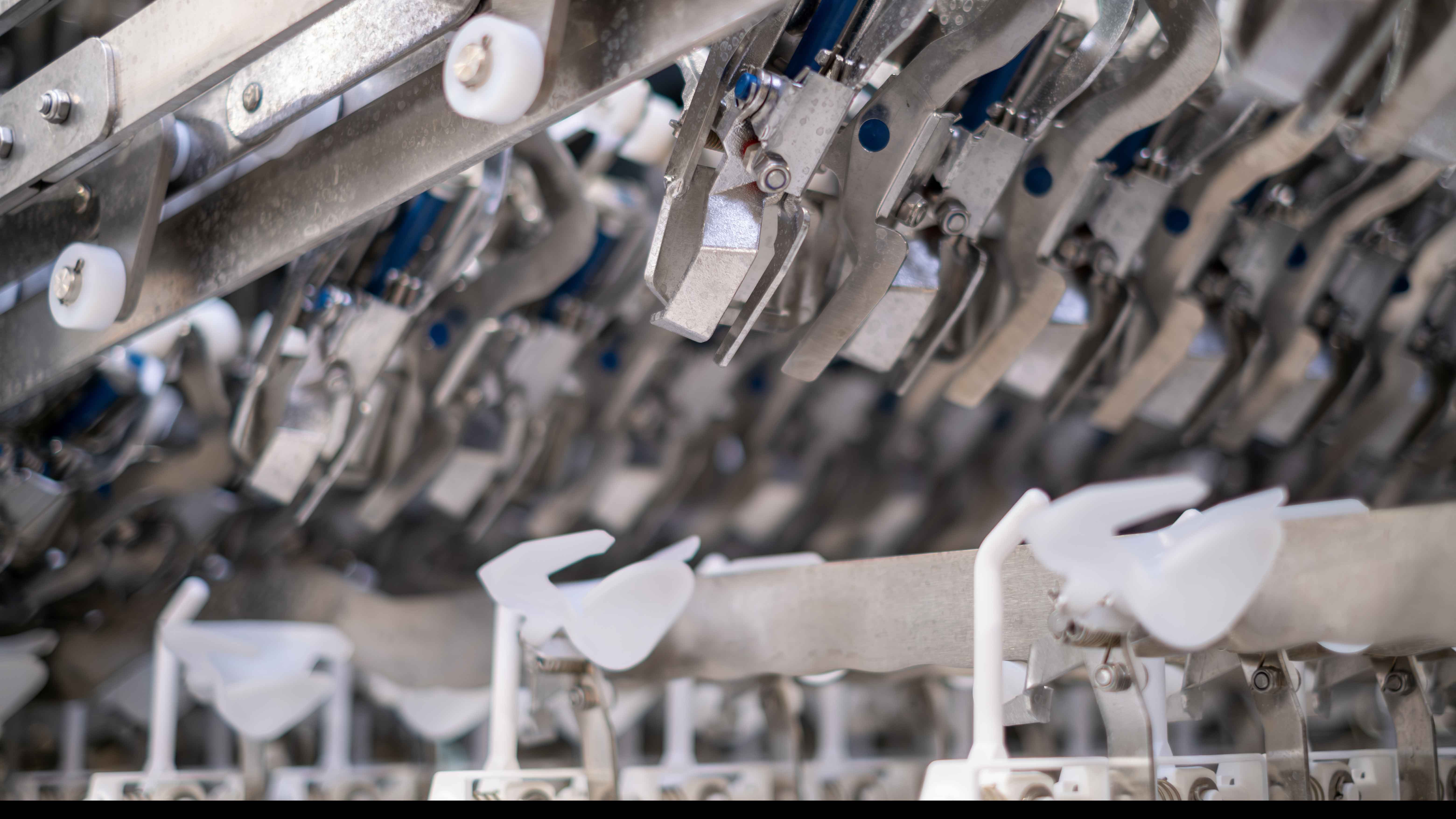 Optimized egg crackers ensuring precise eggshell cracking and higher yield in egg processing.