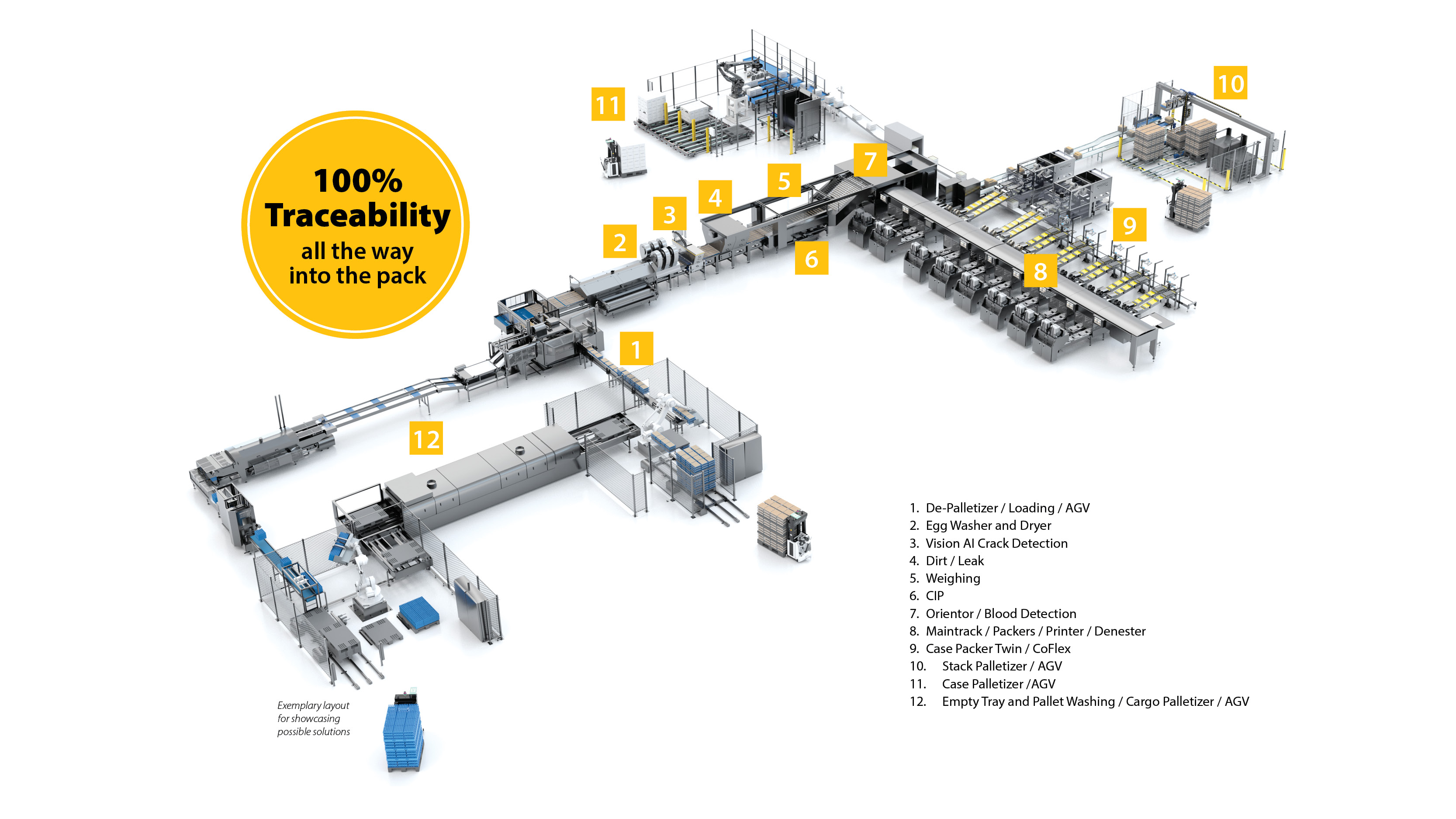 SANIVI medium-sized egg grading and packing station with automated conveyors and multi-lane sorting for higher-capacity farms.