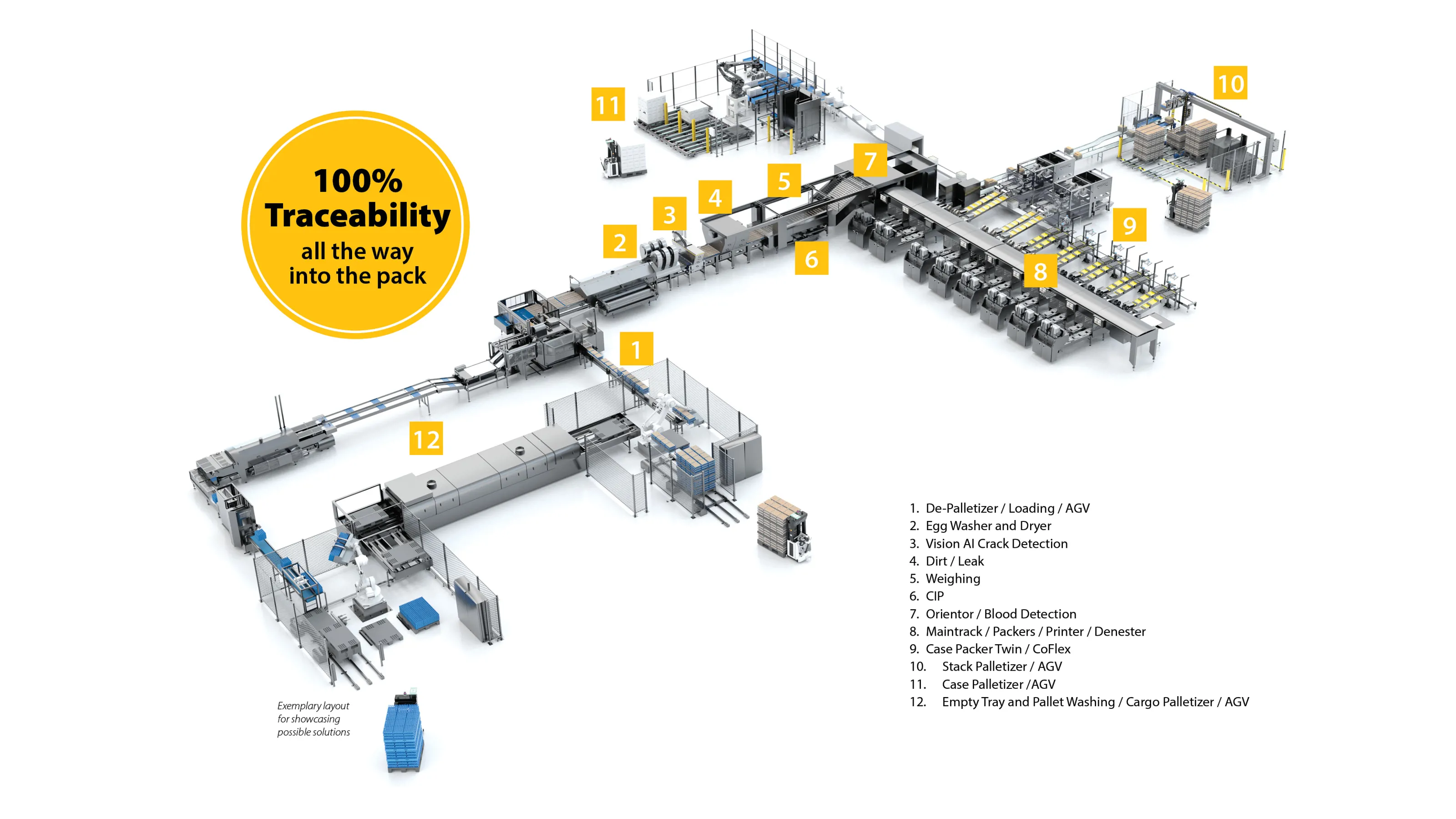SANIVI medium-sized egg grading and packing station with automated conveyors and multi-lane sorting for higher-capacity farms.