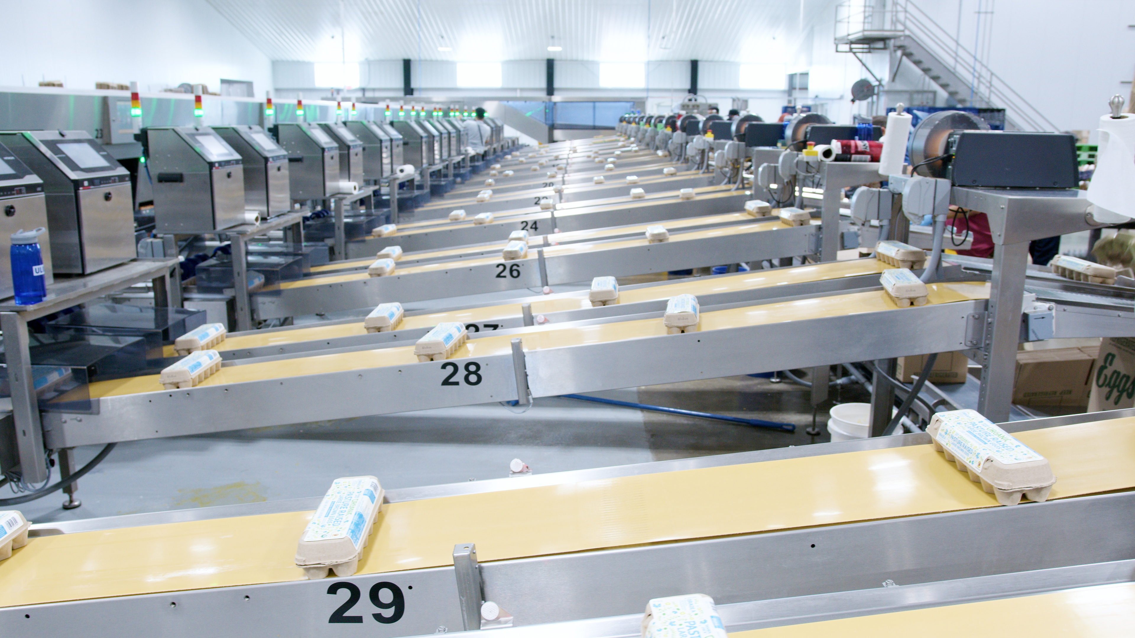 SANOVO GraderPro egg grading machine with automated packing lanes at Mid-States Specialty Eggs facility.