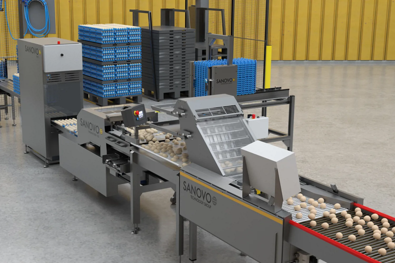 On-Farm Egg Packing Station | Efficient & Hygienic Egg Handling ...