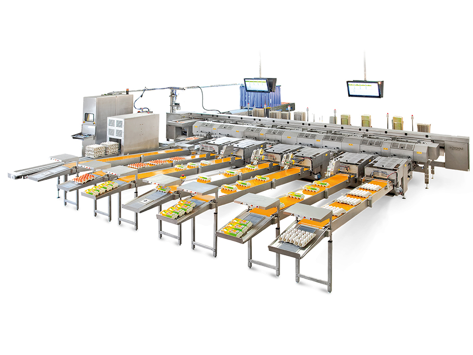 Alpha 70 egg grading and packing system with multiple packing lanes and conveyors by SANOVO TECHNOLOGY GROUP.