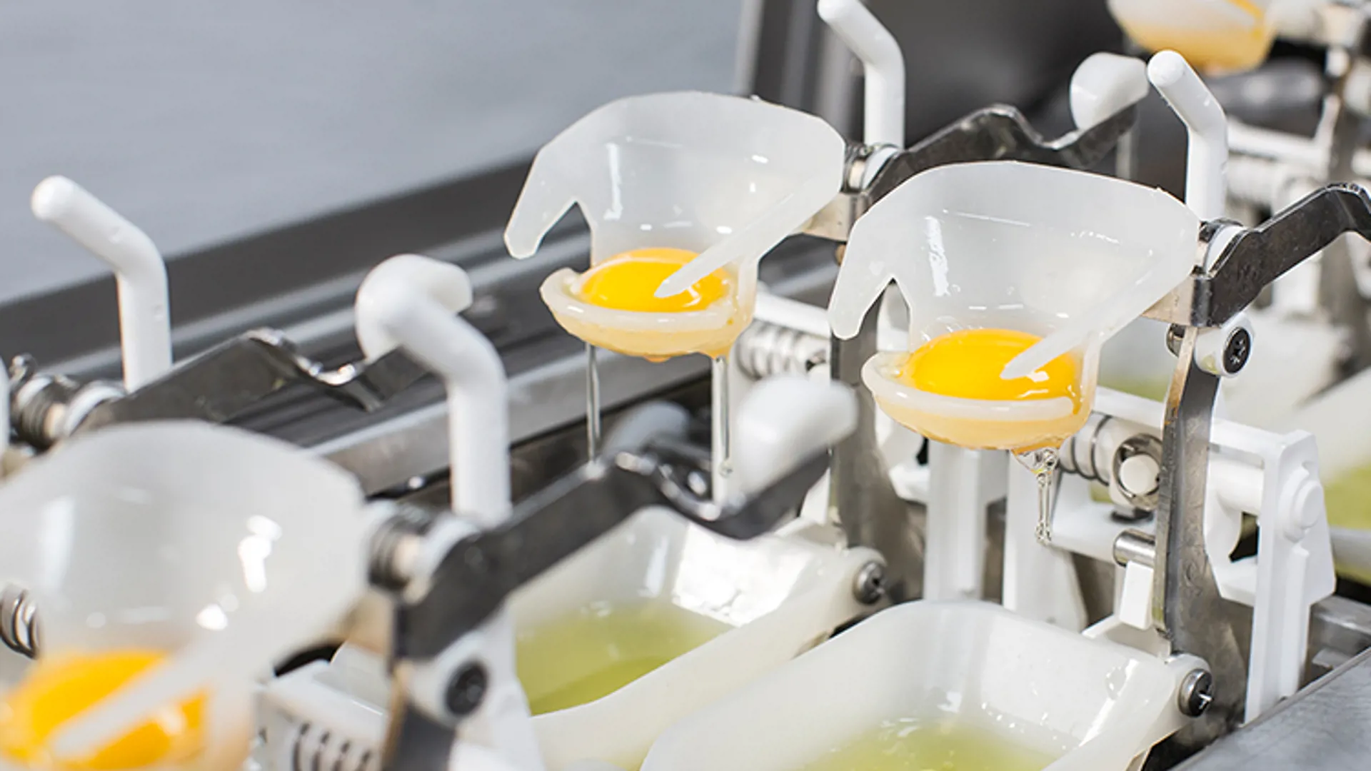 Egg yolk and egg white separated in SANOVO OptiBreaker cups
