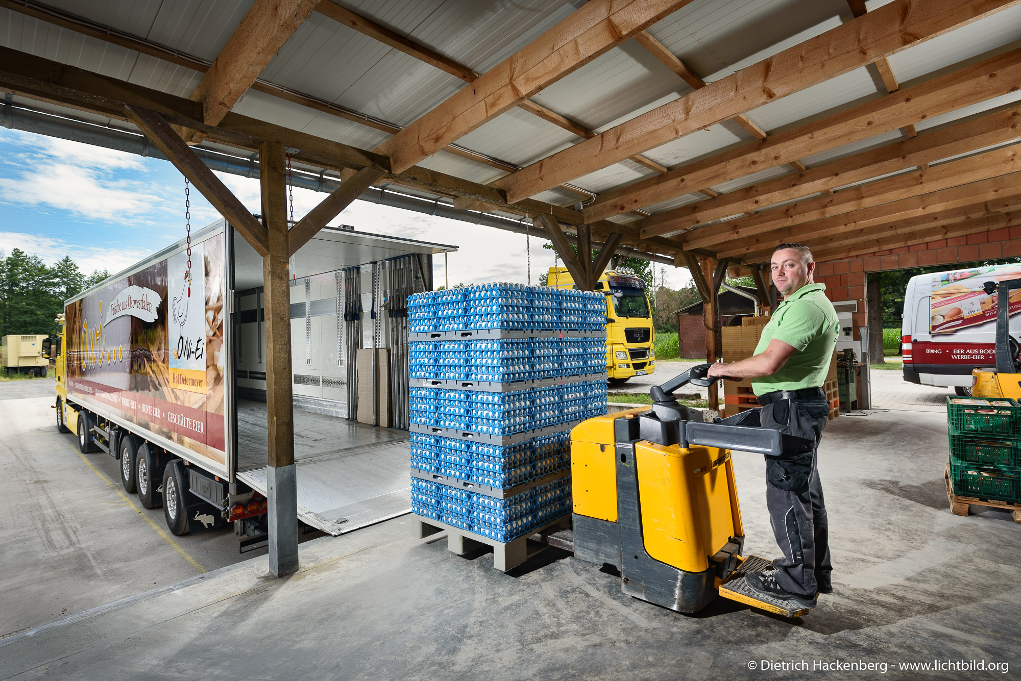Worker loading pallets of eggs onto a truck at OWi-Ei Erzeugergemeinschaft egg grading and distribution facility in Germany.