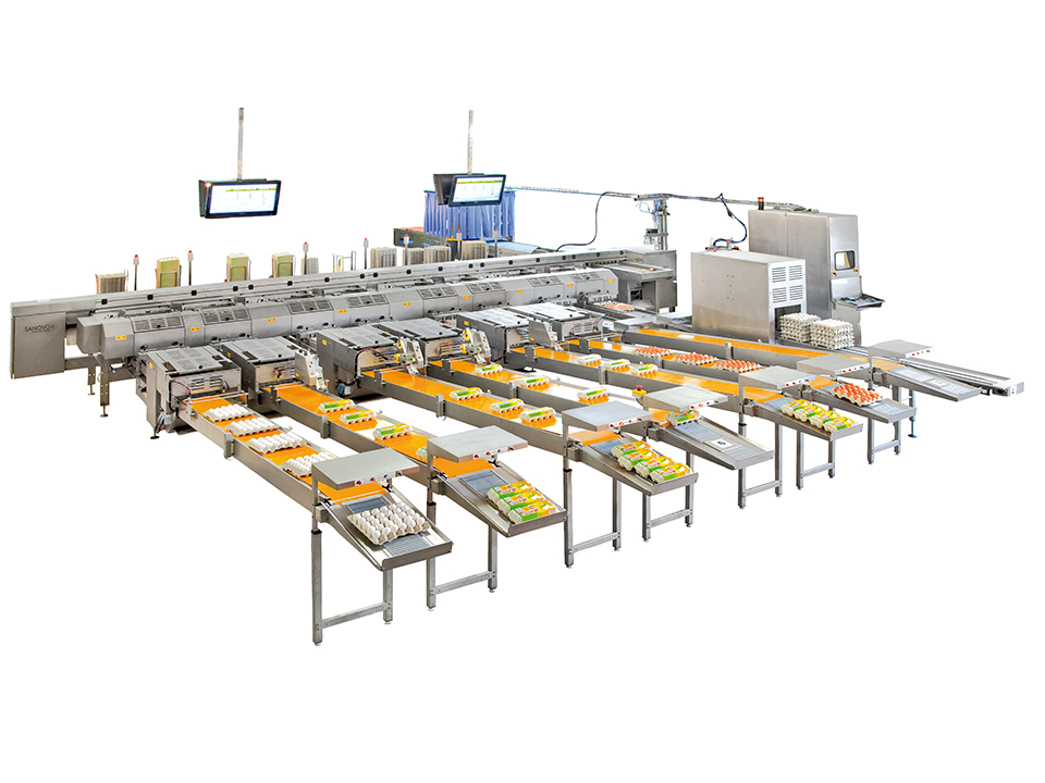 Alpha 125 egg grading and packing system with multiple packing lanes and outfeed conveyors by SANOVO TECHNOLOGY GROUP.