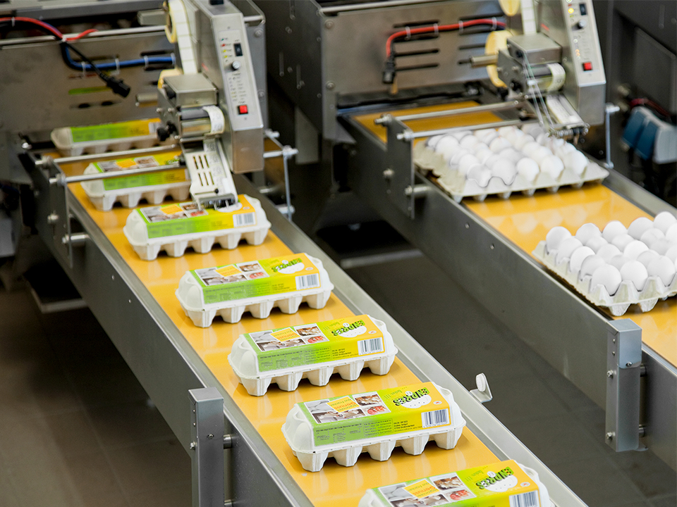Flexible takeaway conveyors and packing lanes on an Alpha egg grading and packing system by SANOVO TECHNOLOGY GROUP.