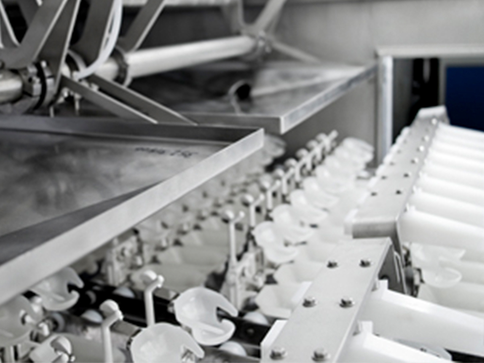 Egg loading section with cups in SANOVO OptiBreaker machine.