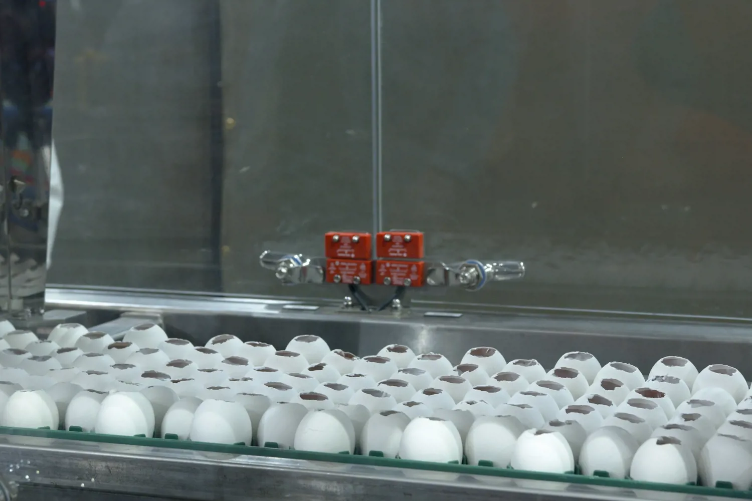 Embrex Device Automatic Egg Harvester – 35,000 Eggs/Hour for Vaccines | Sanovo Technology