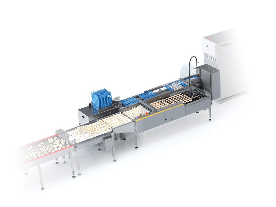 SANOVO Farmpacker 24000 egg packer machine transferring eggs from conveyor to trays.