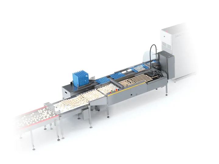 SANOVO Farmpacker 24000 egg packer machine transferring eggs from conveyor to trays.