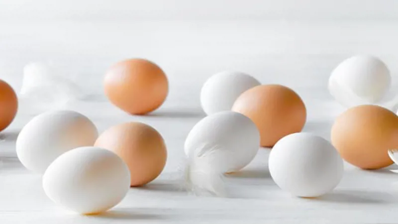 Brown and white eggs mixed with feathers