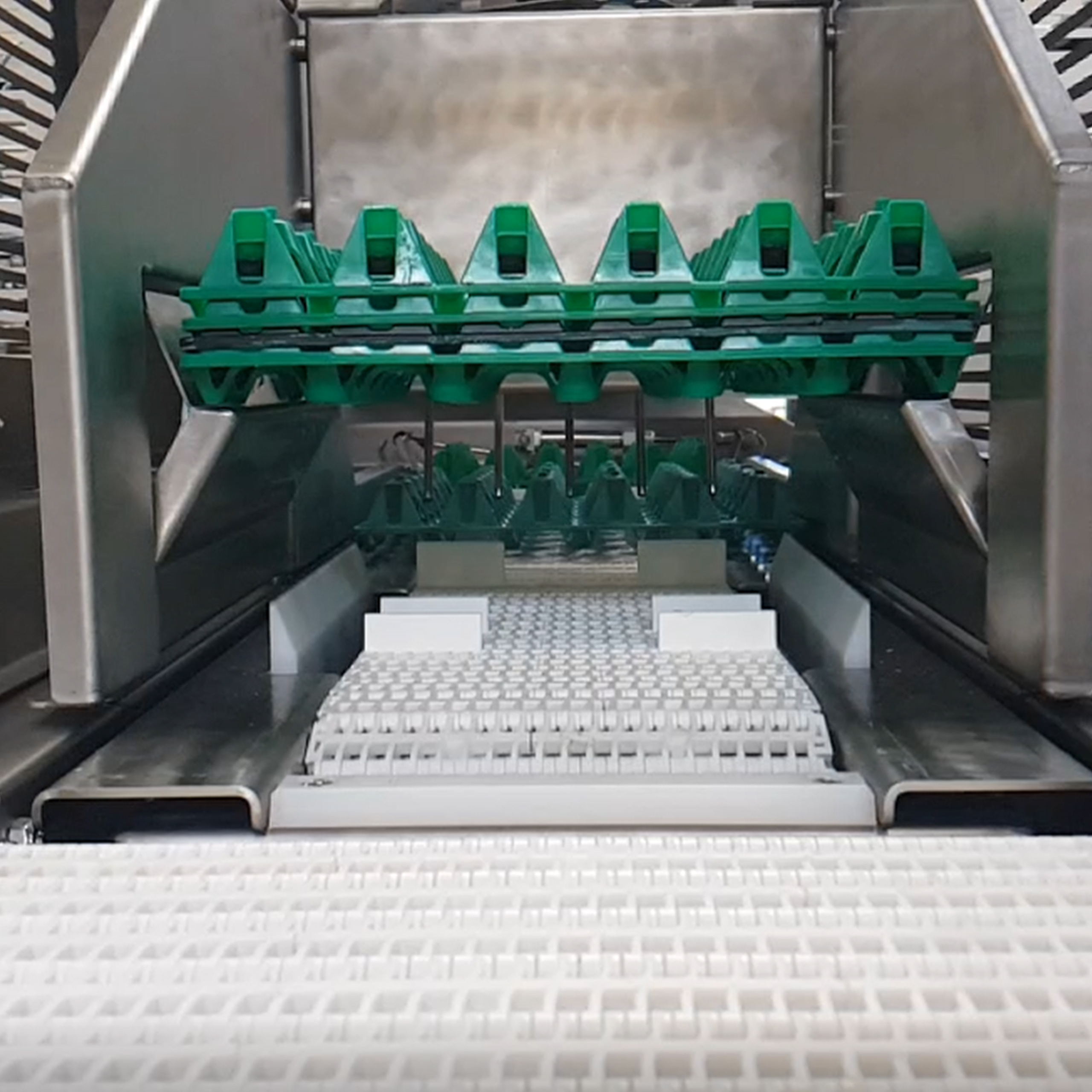 Close-up of tray de-stacking inside a SANOVO OptiLoader egg loading machine.