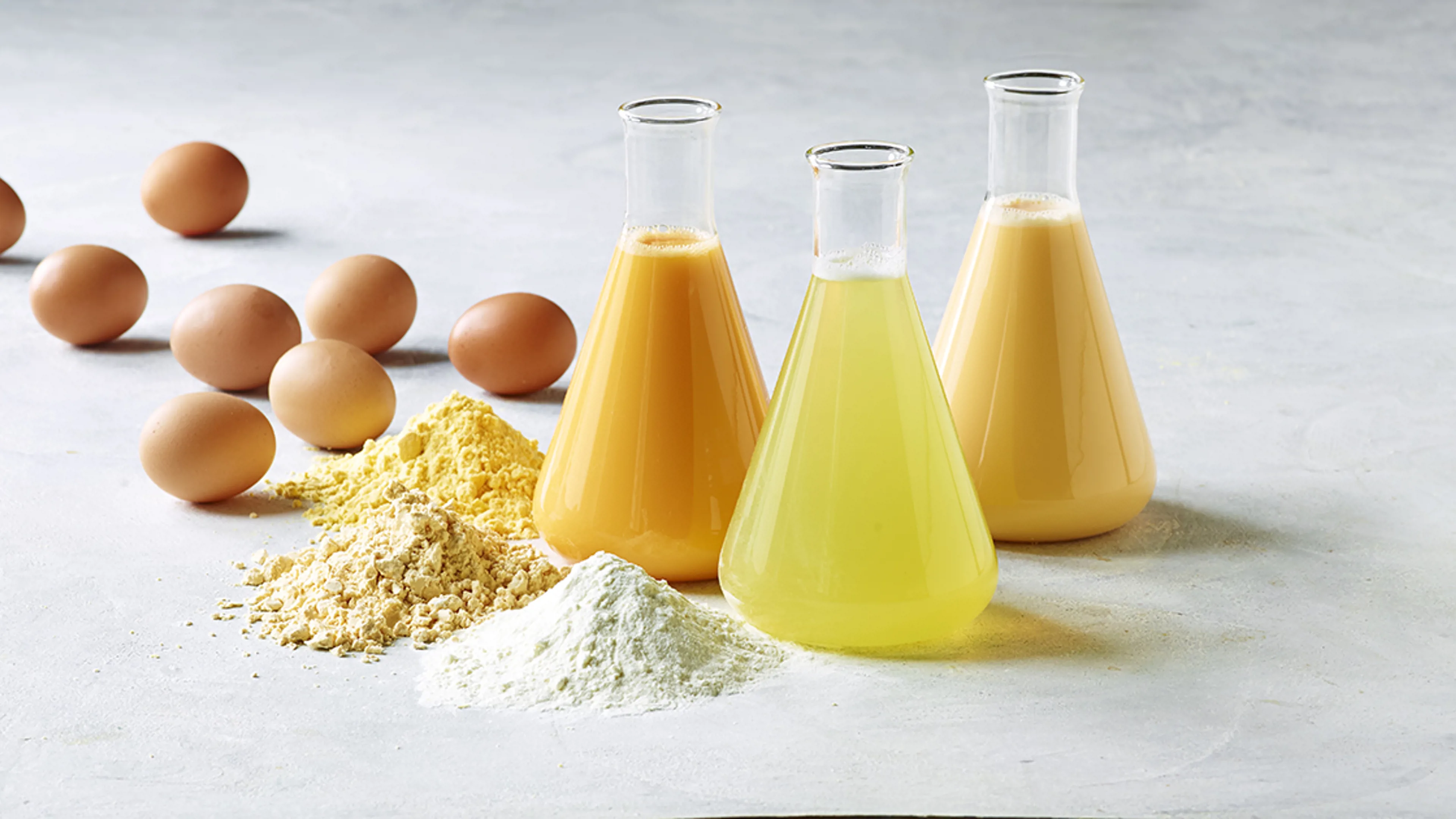 Liquid egg alongside egg powders produced through egg processing.